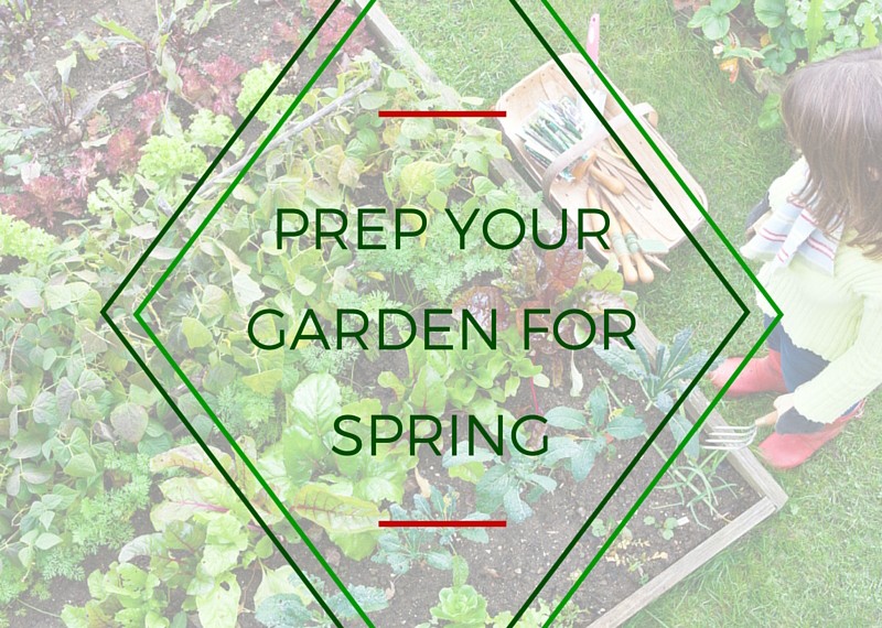 Prep Your Garden For Spring