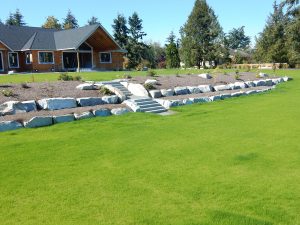ProSoil growing media for planters and turf
