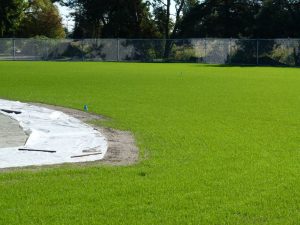 Rootzoone high performance growing media for sports fields