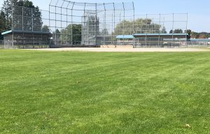 Rootzone - Web - Sports field - Hawthorne Park (2)