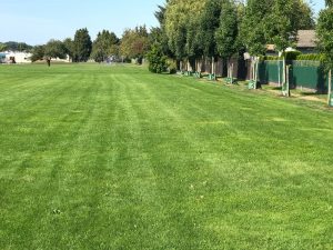 Rootzone - Web - Sports field - Hawthorne Park (3)