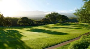 THRIVE Turf Blend Soil