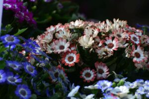 THRIVE Planter Blend Soil