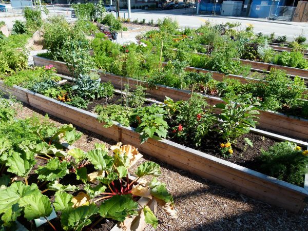 urbanGRO growing media or organic or urban farming